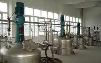 黃浦江源安吉白茶報(bào)價(jià) 廠(chǎng)家